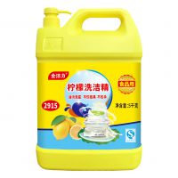 5千克洗潔精（2915）